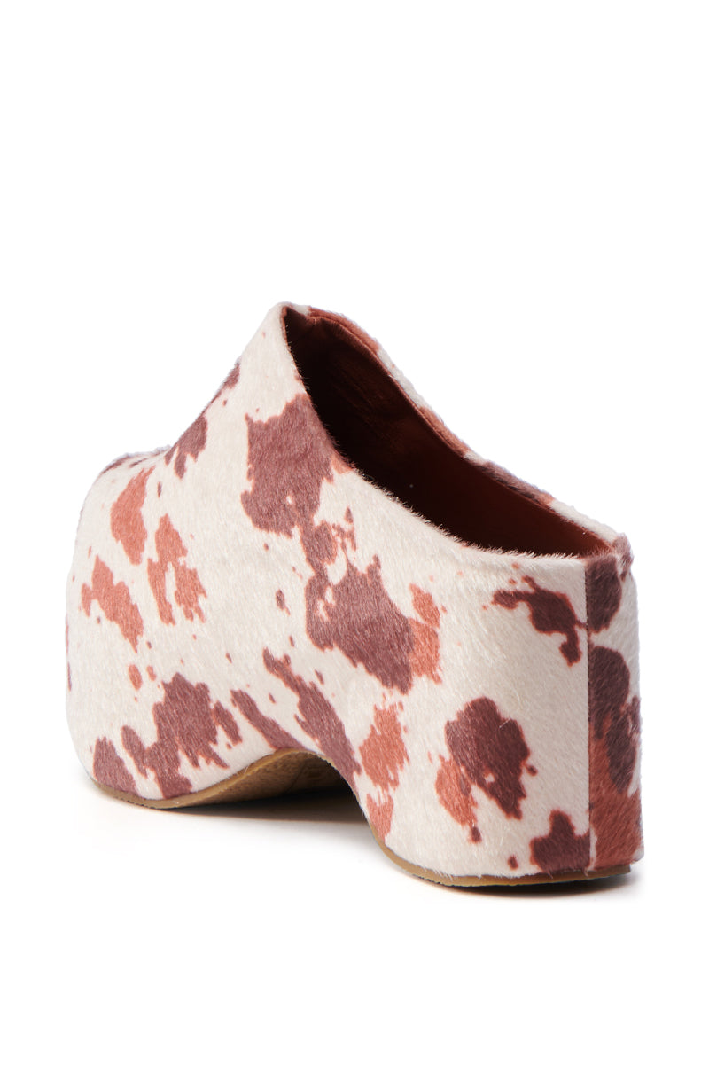 AZALEA WANG TEATREE COW CLOG